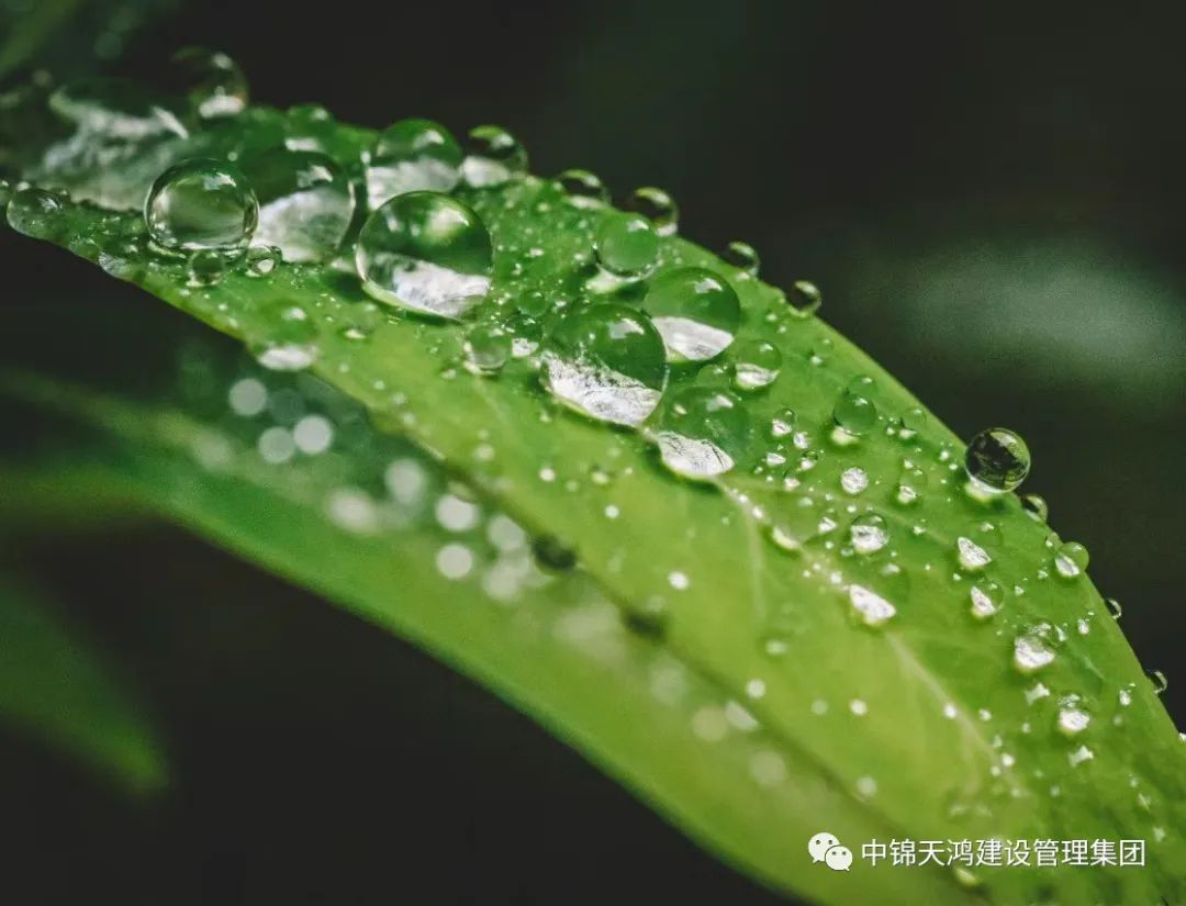 圖片7.png