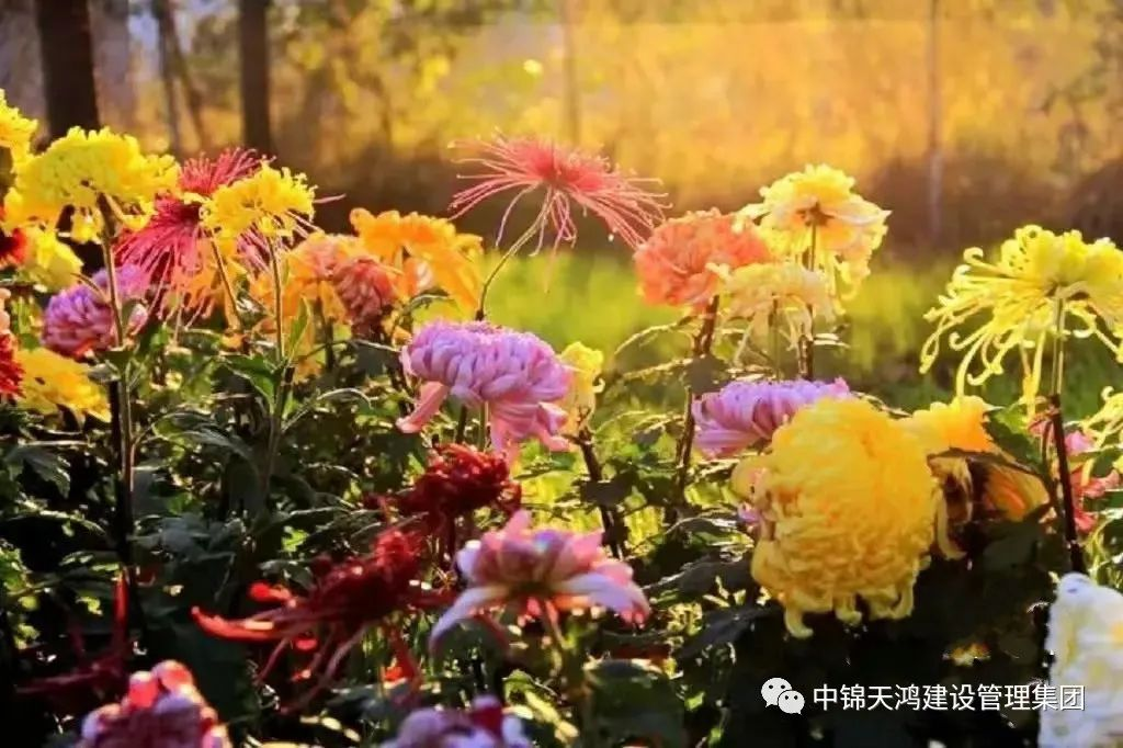 圖片1(5).png